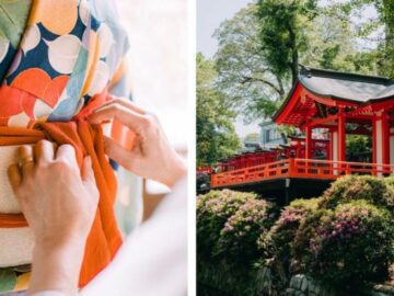 Williams Sonoma Heart and Soul of Japan Sweepstakes